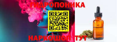 спиды Канаш