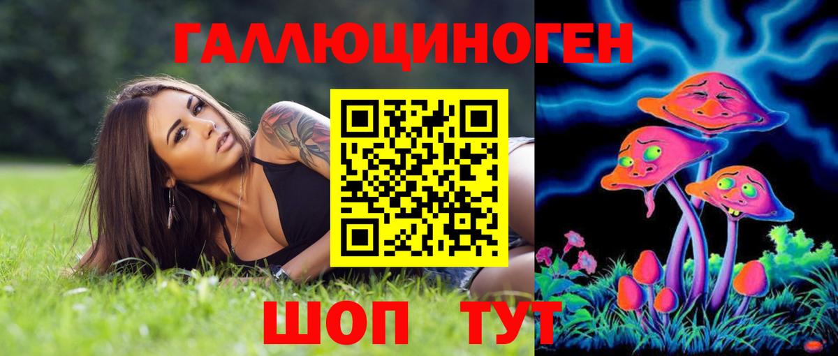 Псилоцибиновые грибы Psilocybe  что такое   Кубинка  Вход с VPN 