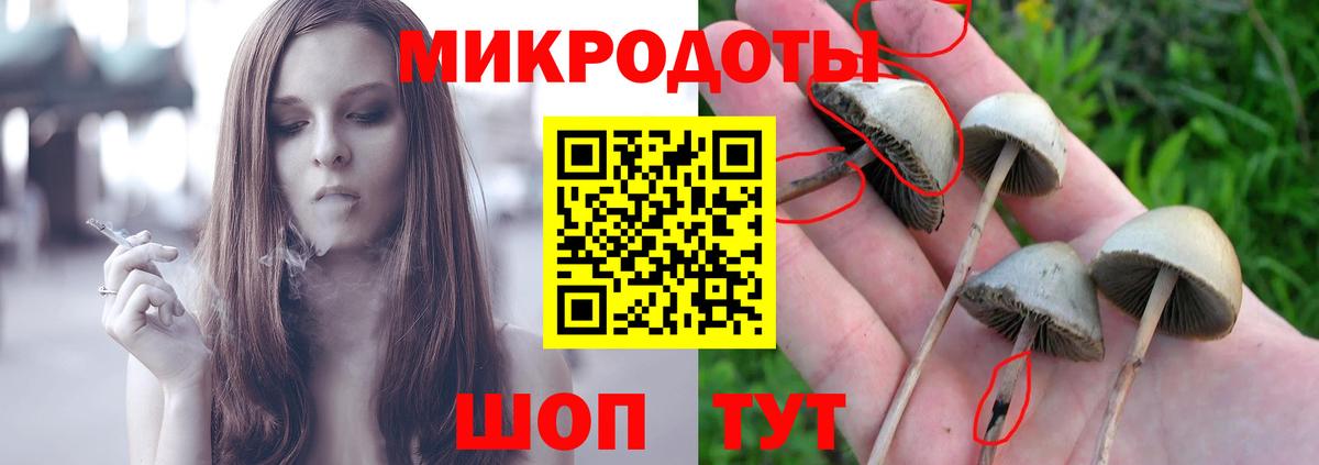 Псилоцибиновые грибы MAGIC MUSHROOMS Кубинка